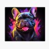 mp840x830mattef8f8f8t pad1000x1000f8f8f8 - French Bulldog Gifts UK